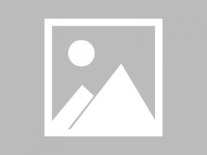 关于欧国多国大战，体育精神跃然纸上的信息